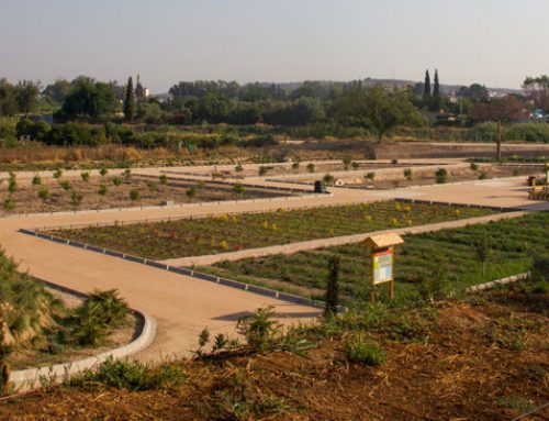 Alcantarilla inaugura el Paraje Las Caracolas, un nuevo espacio verde sobre un tanque de tormentas de 10.000 metros cúbicos